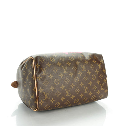 Louis Vuitton Monogram Speedy 30 V Grenade 4 of 7