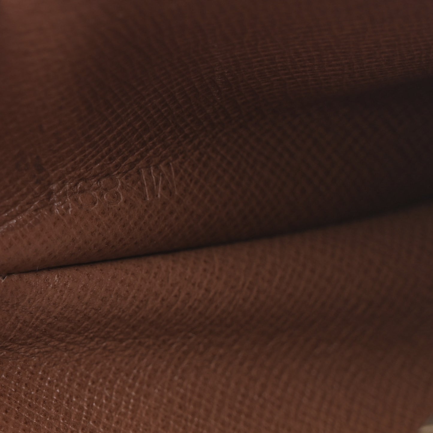 Monogram Saint Cloud MM
