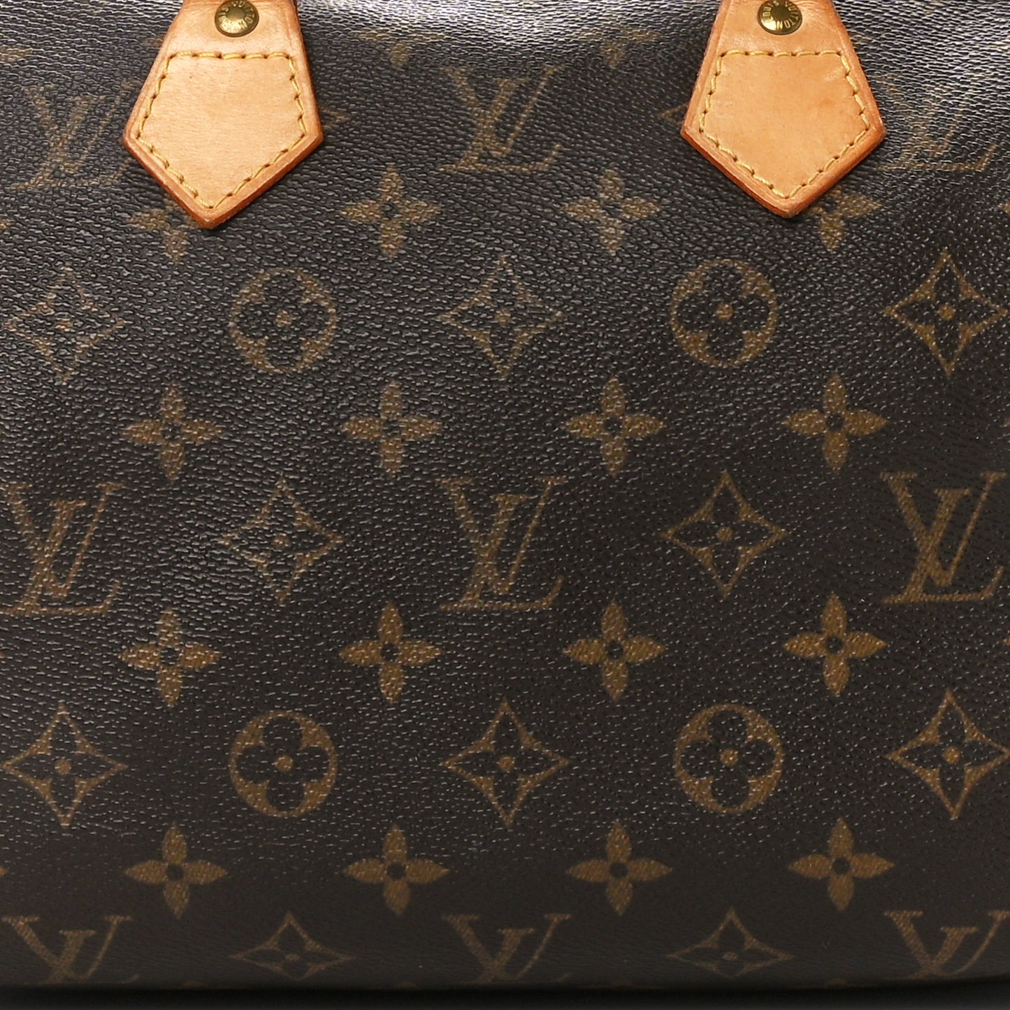Monogram Speedy 25