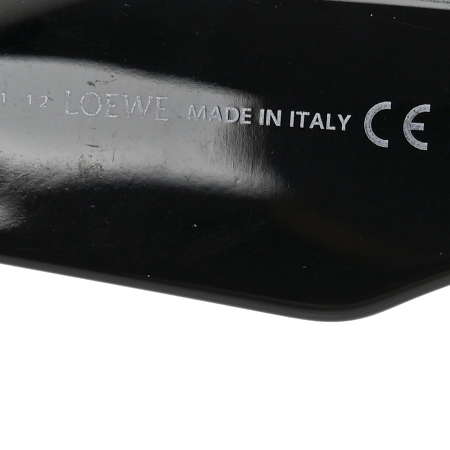 Acetate Anagram Cat Eye Sunglasses LW40036I Black