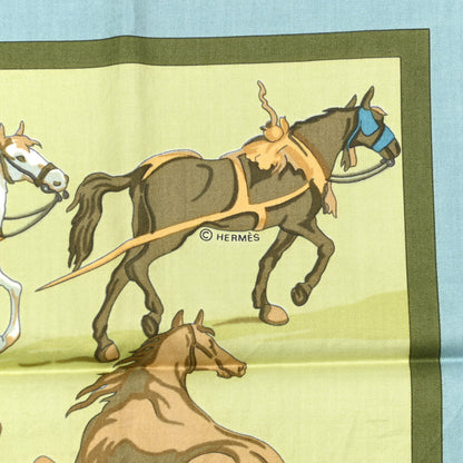 Hermes Cotton D'Apres Van Der Meulen Scarf 70 4 of 5