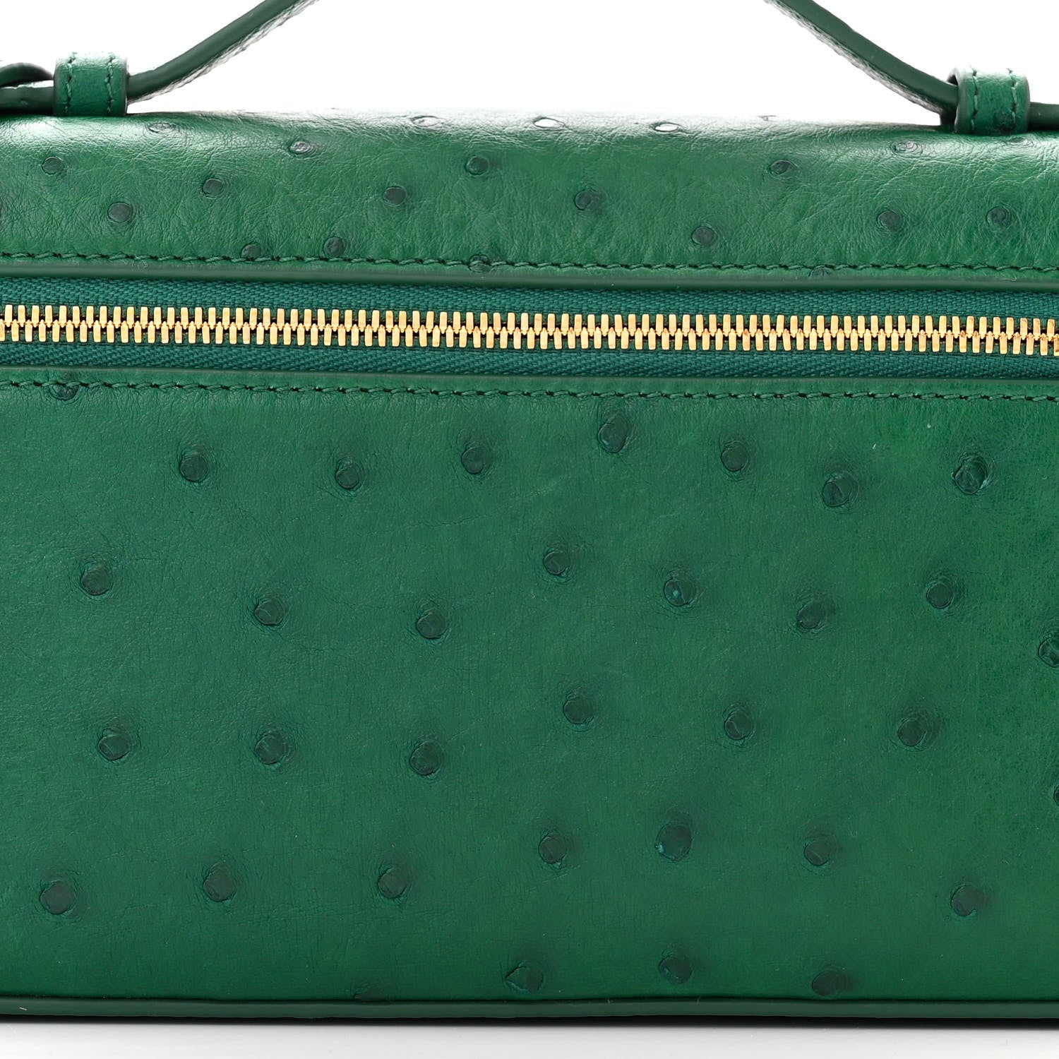 Loro Piana Ostrich L19 Extra Pocket Pouch Forest Leaves 7 of 10