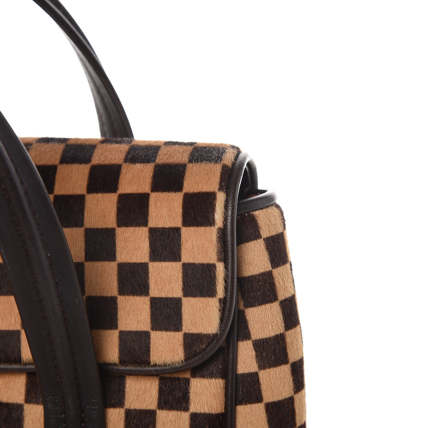 Louis Vuitton Damier Calf Hair Sauvage Lionne 13 of 13