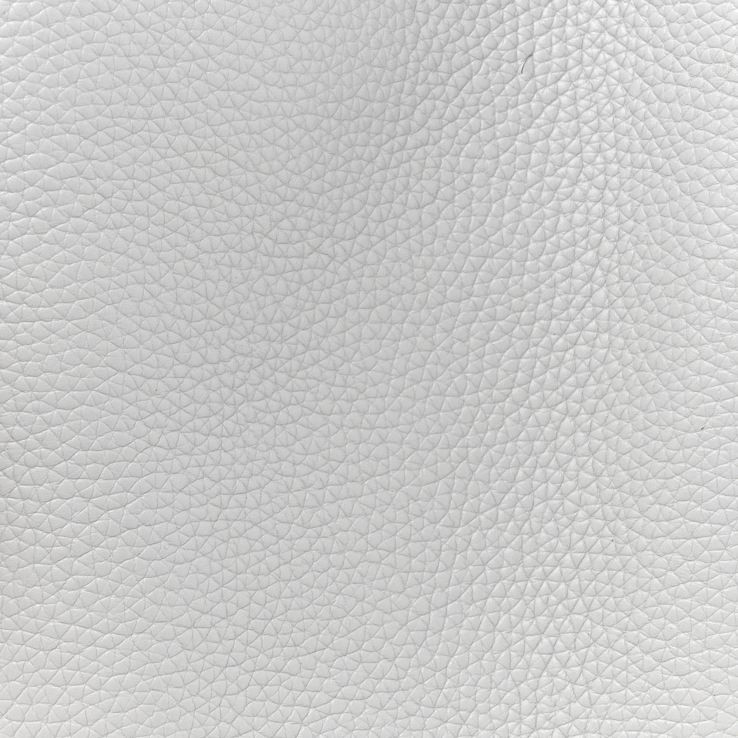 Grained Calfskin The Director Tote Harbor Mist