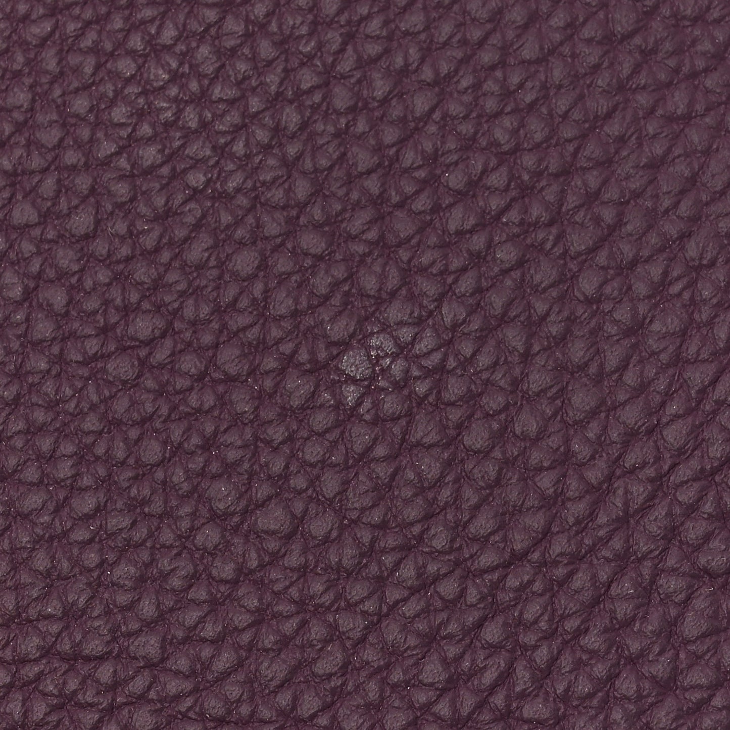 Togo Ulysse MM Notebook Cover Anemone