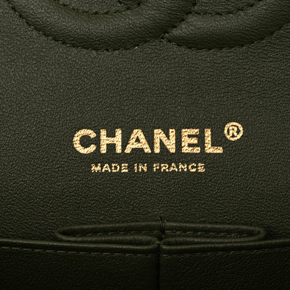 Chanel Lambskin Quilted Tri-Color Medium Double Flap Green Brown 6 of 14