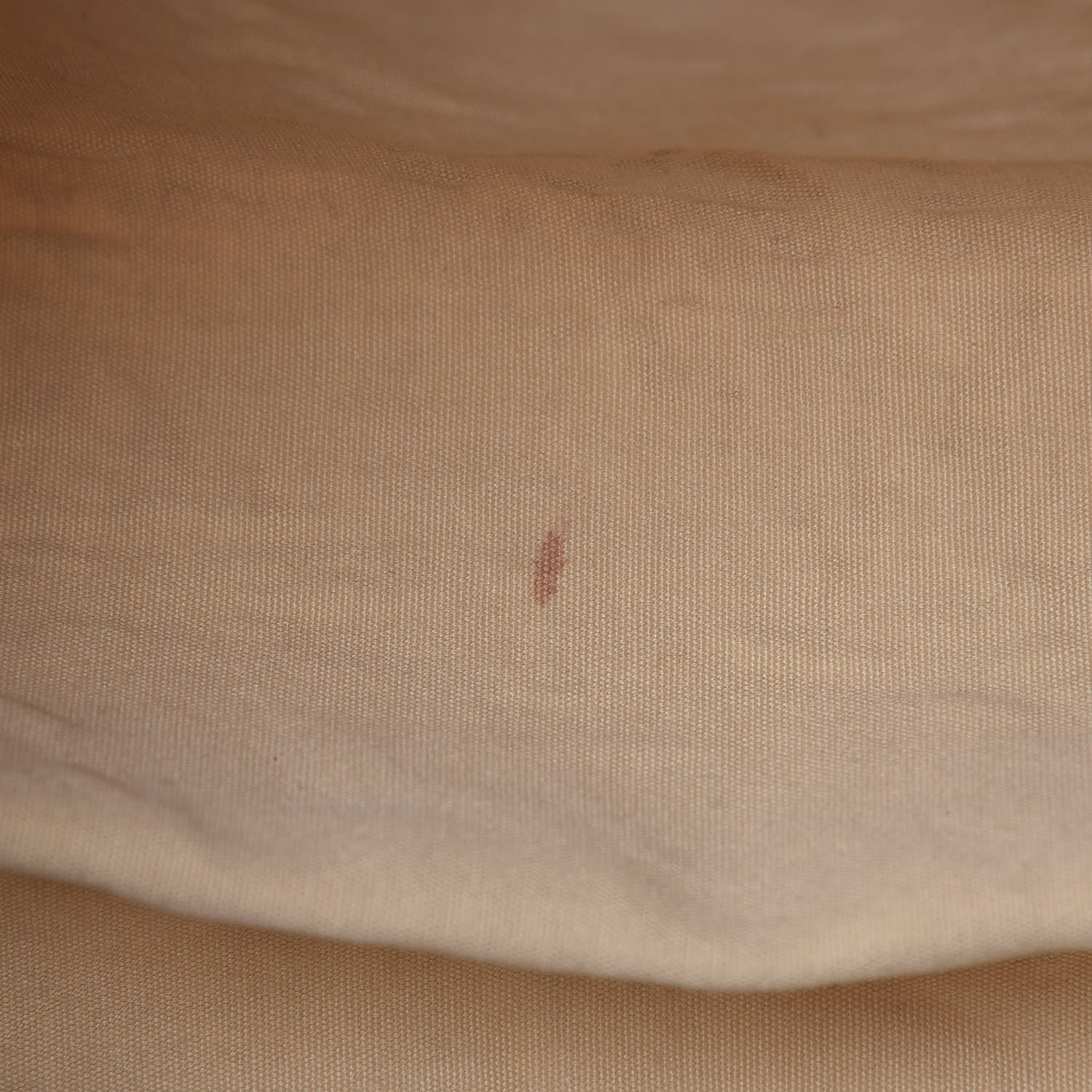 Louis Vuitton Mini Lin Speedy 30 Dune 8 of 19