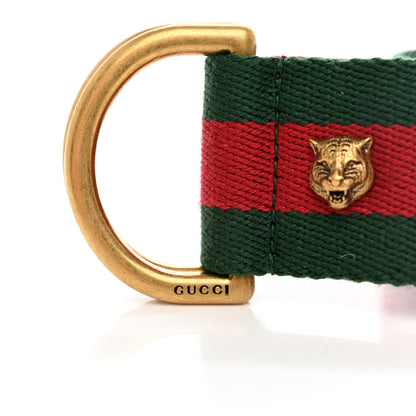 Gucci Web Feline D Ring Belt 90 36 Red Green 4 of 4
