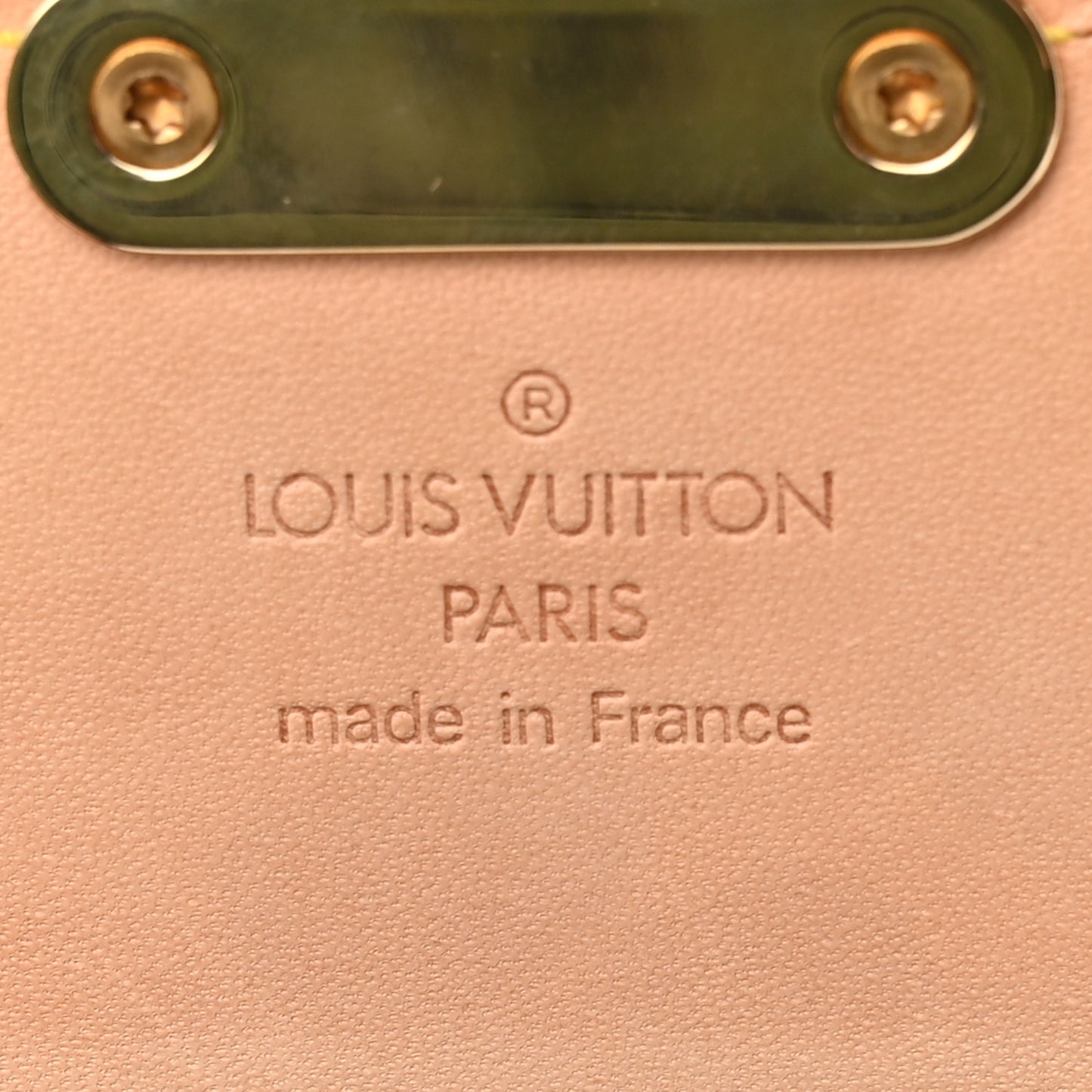 Monogram Multicolor Dalmatian Pochette