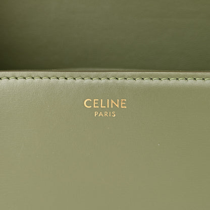 Celine Shiny Calfskin Nano Triomphe Soft Khaki 6 of 12