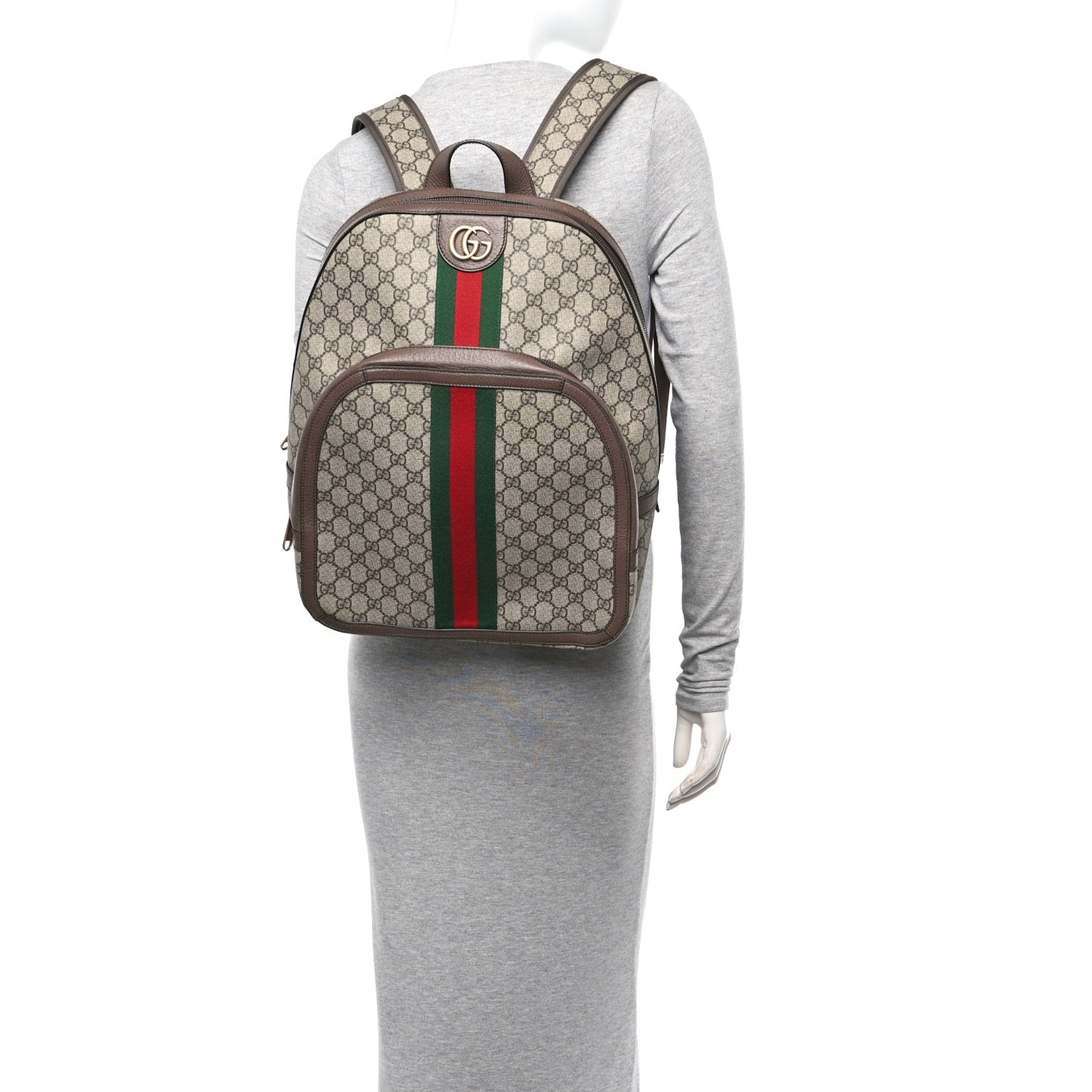 GG Supreme Monogram Medium Ophidia Day Backpack Brown