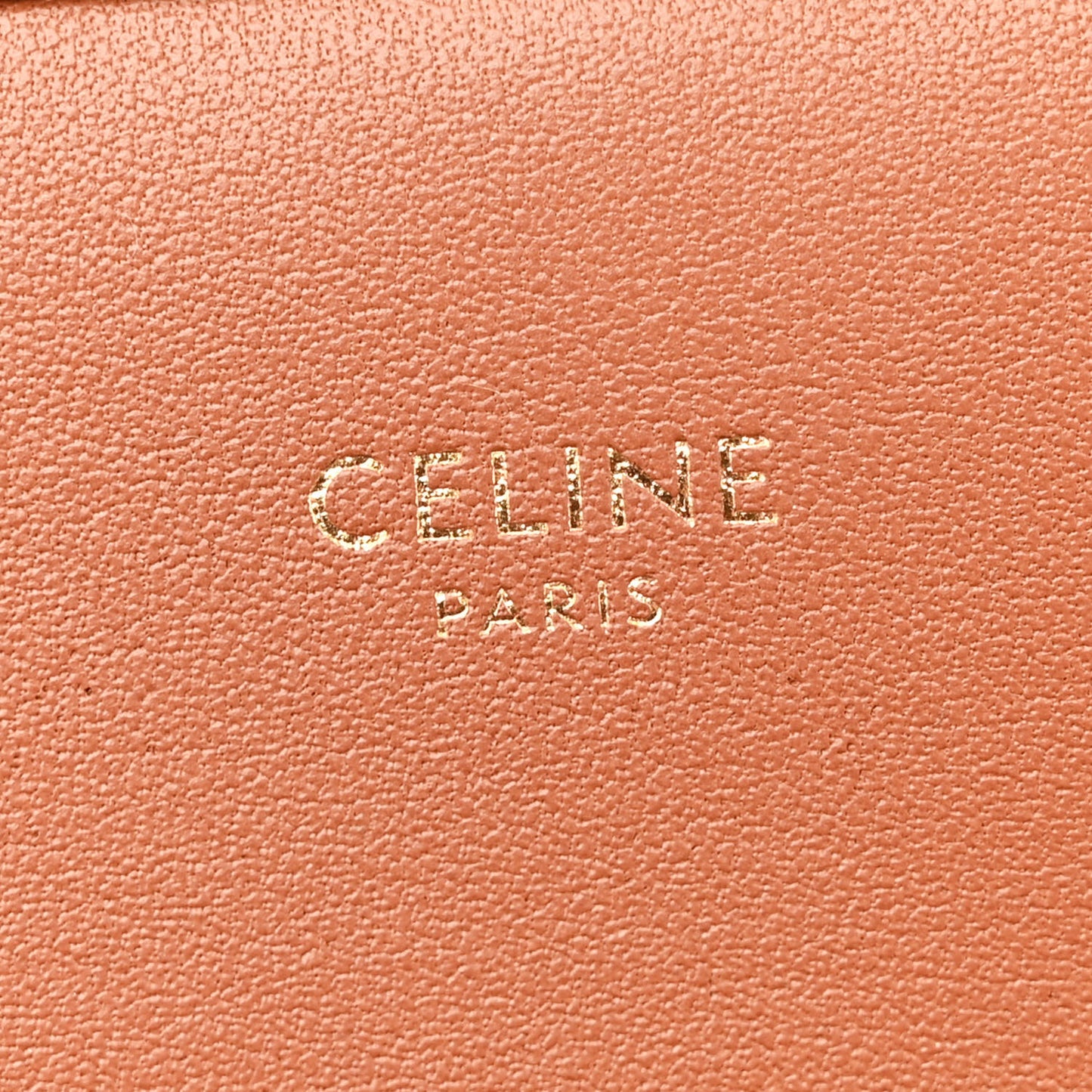 Calfskin Triomphe Canvas Teen Triomphe Bag Tan