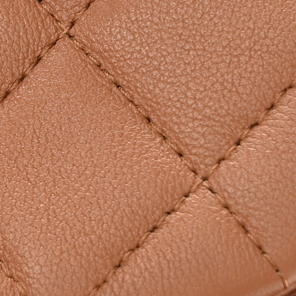 Chanel Lambskin Quilted Small Duma Drawstring Backpack Brown 8 of 10
