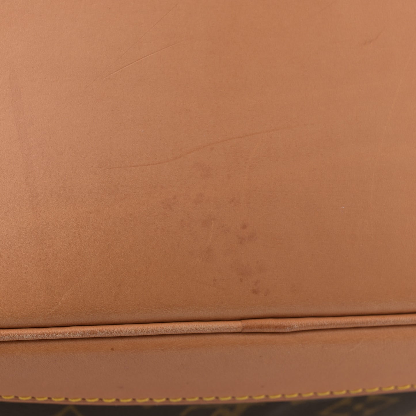 Monogram Montsouris GM Backpack