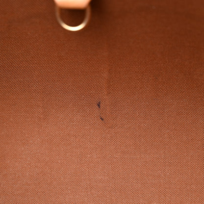 Louis Vuitton Monogram Ellipse MM 9 of 16