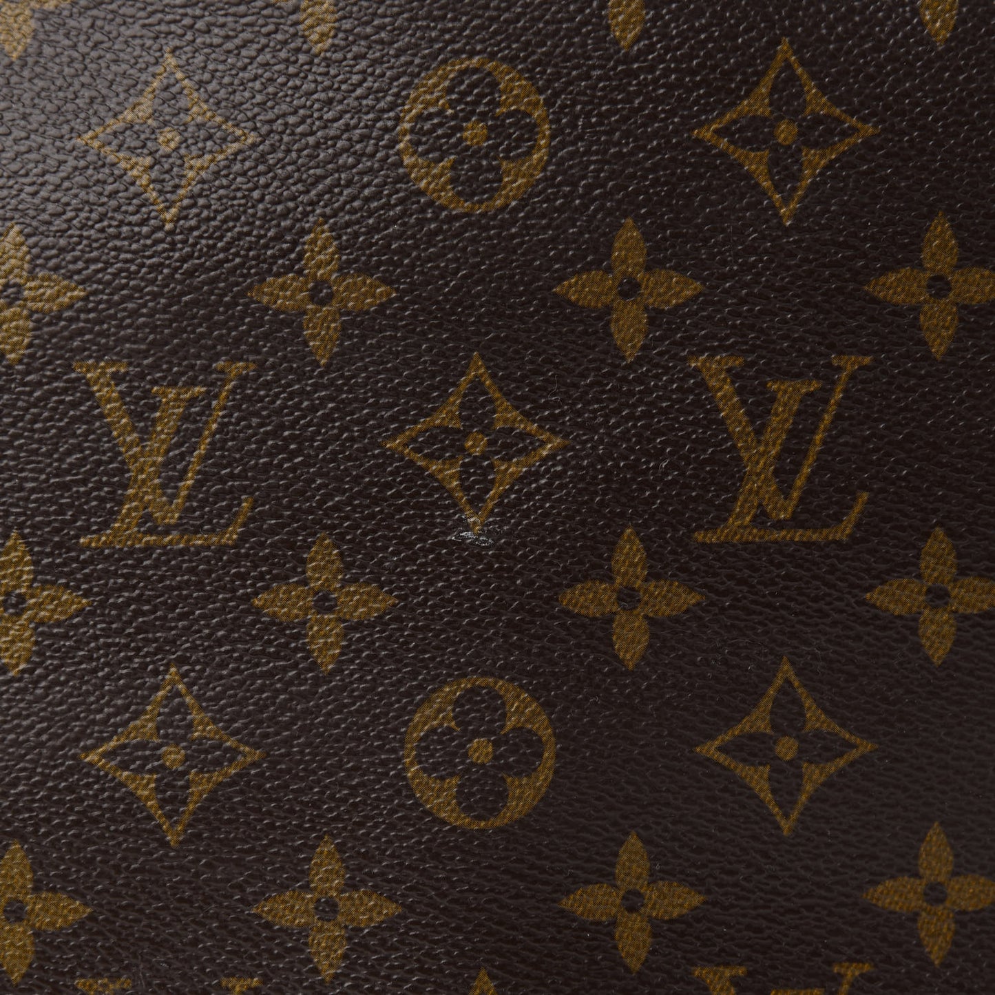 Monogram Cabas Mezzo