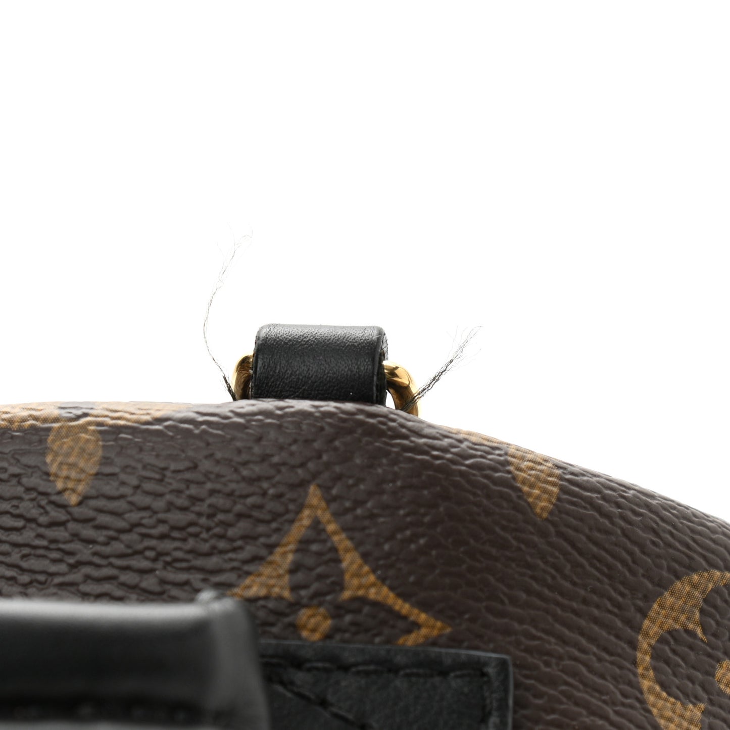 Monogram World Tour Palm Springs Backpack Mini