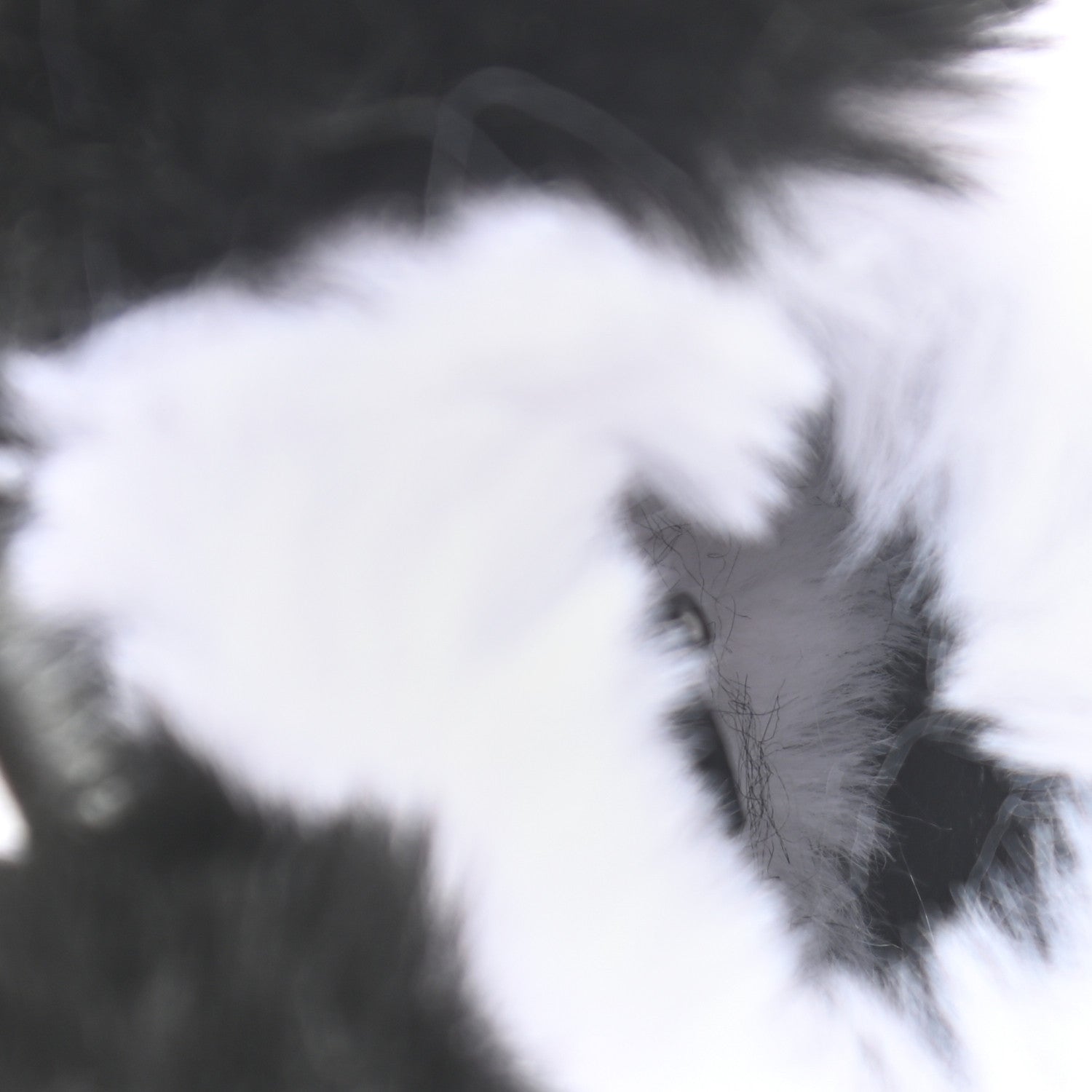 Balenciaga Faux Fur Fluffy Panda Earpods Holder Black 4 of 6