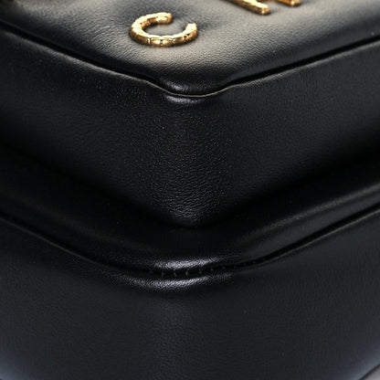 Chanel Calfskin Quilted Large Camera Case Black 9 of 13