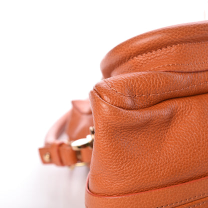 Chloe Calfskin Medium Paraty Indian Summer 9 of 17
