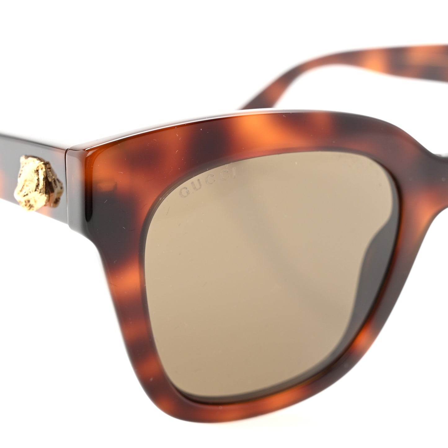Acetate Square Frame Sunglasses GG0029S Tortoise