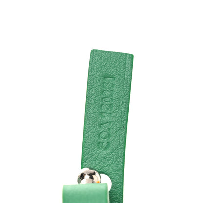Goyard Goyardine Reversible Mini Anjou Meadow Green 12 of 18
