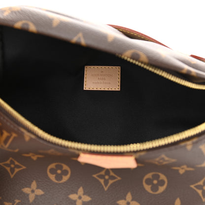 Louis Vuitton Monogram Bumbag 5 of 9