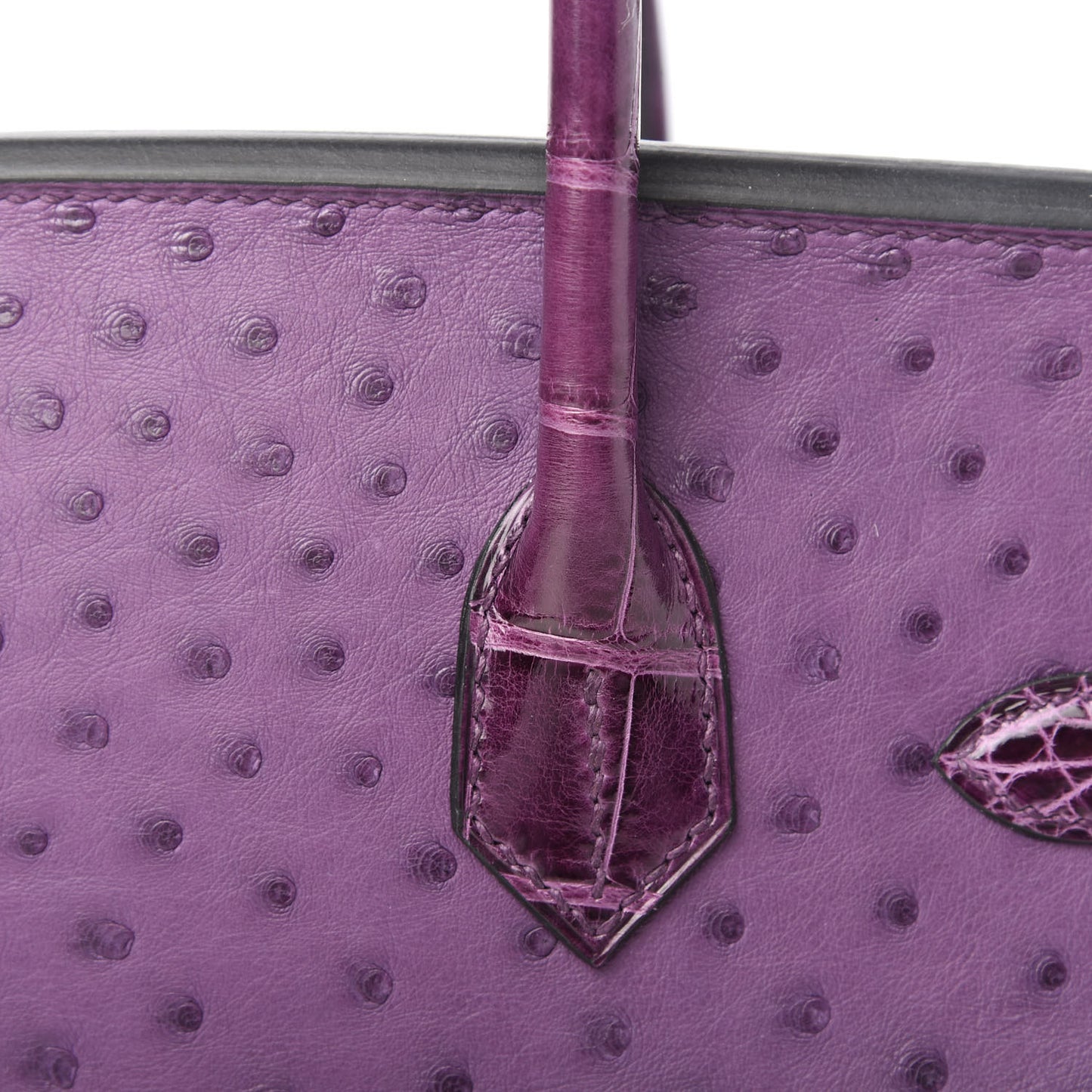 Ostrich Shiny Alligator Birkin Touch 30 Violine