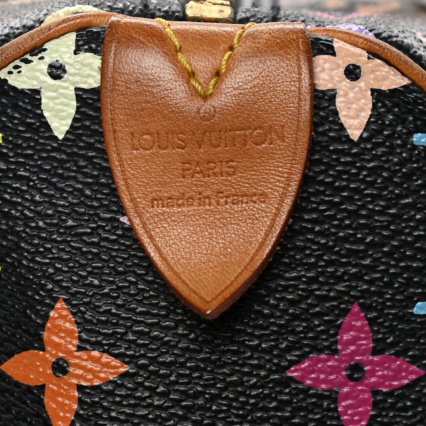 Monogram Multicolor Speedy 30 Black