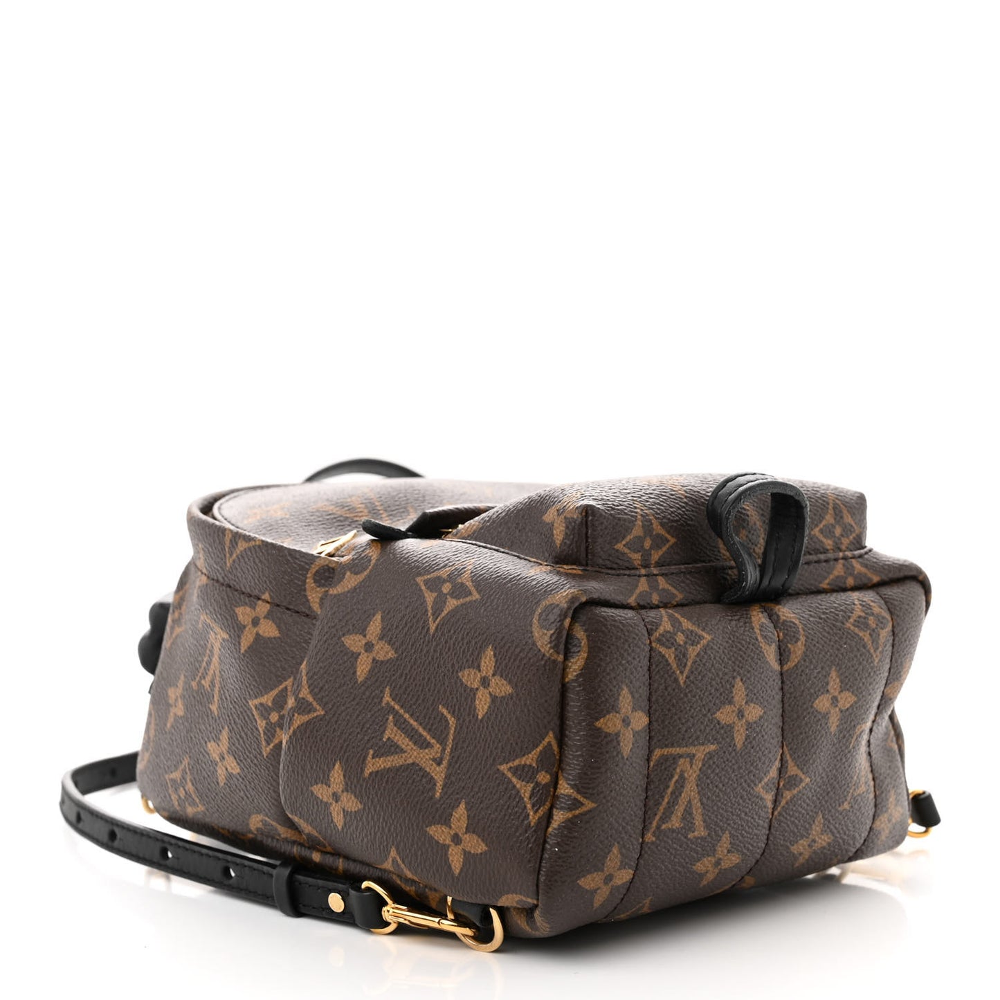 Monogram Palm Springs Backpack Mini