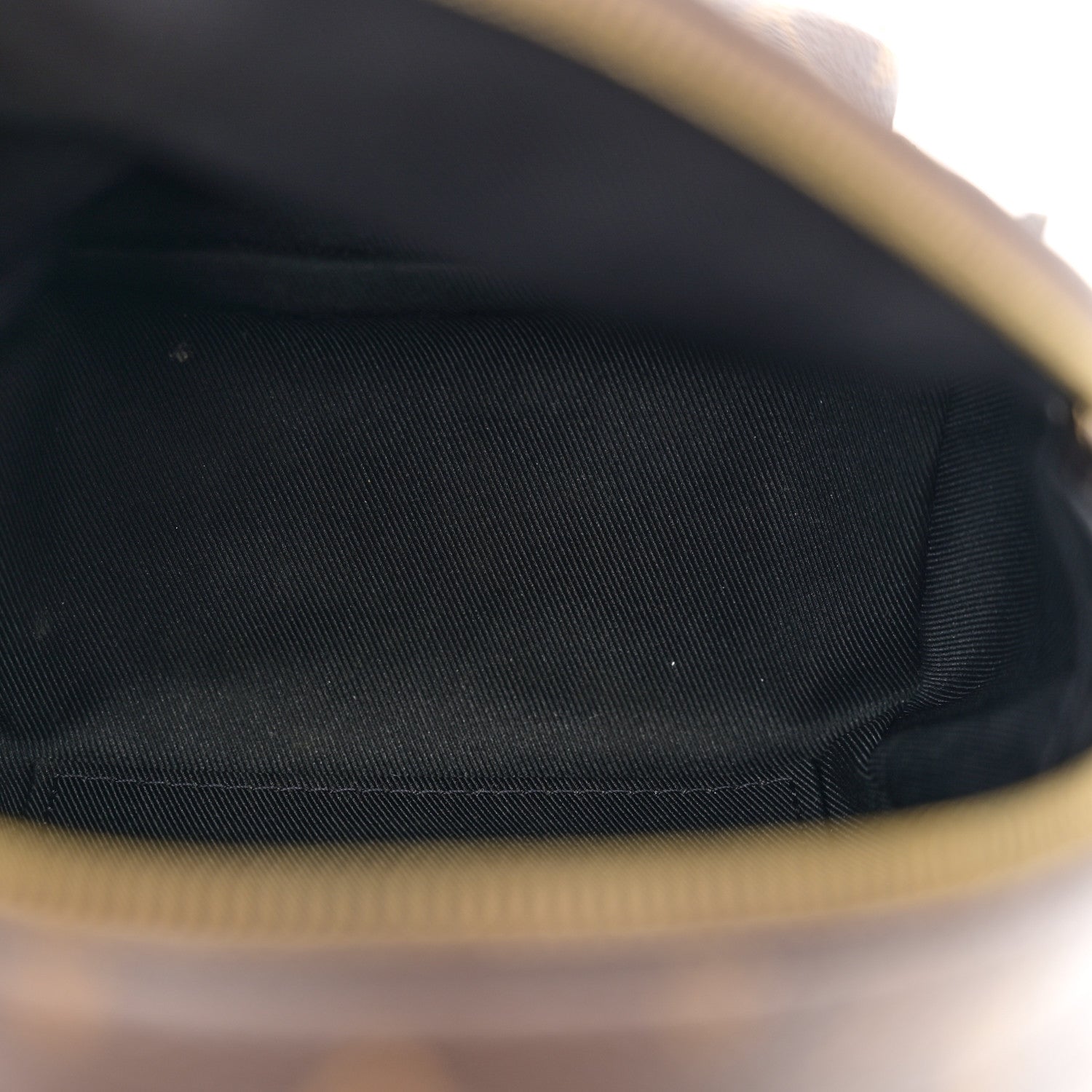 Louis Vuitton Monogram Palm Springs Backpack Mini 5 of 14