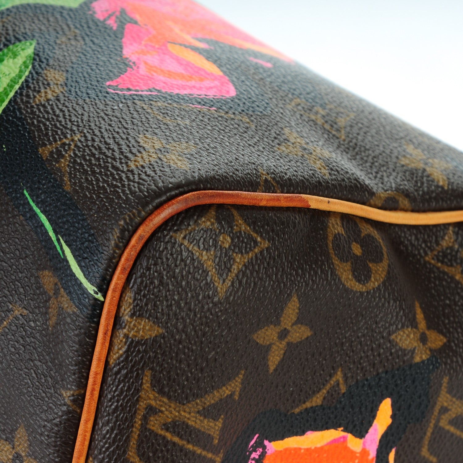 Louis Vuitton Monogram Roses Speedy 30 8 of 10