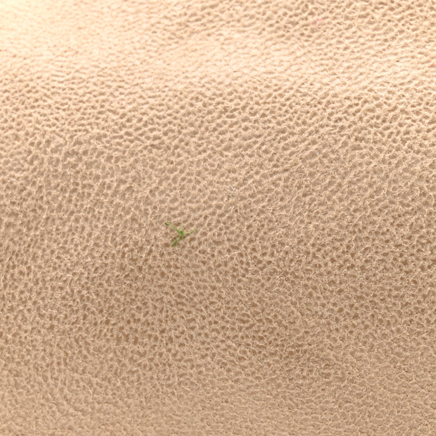 Shaggy Deer Mini Falabella Fold Over Tote Beige