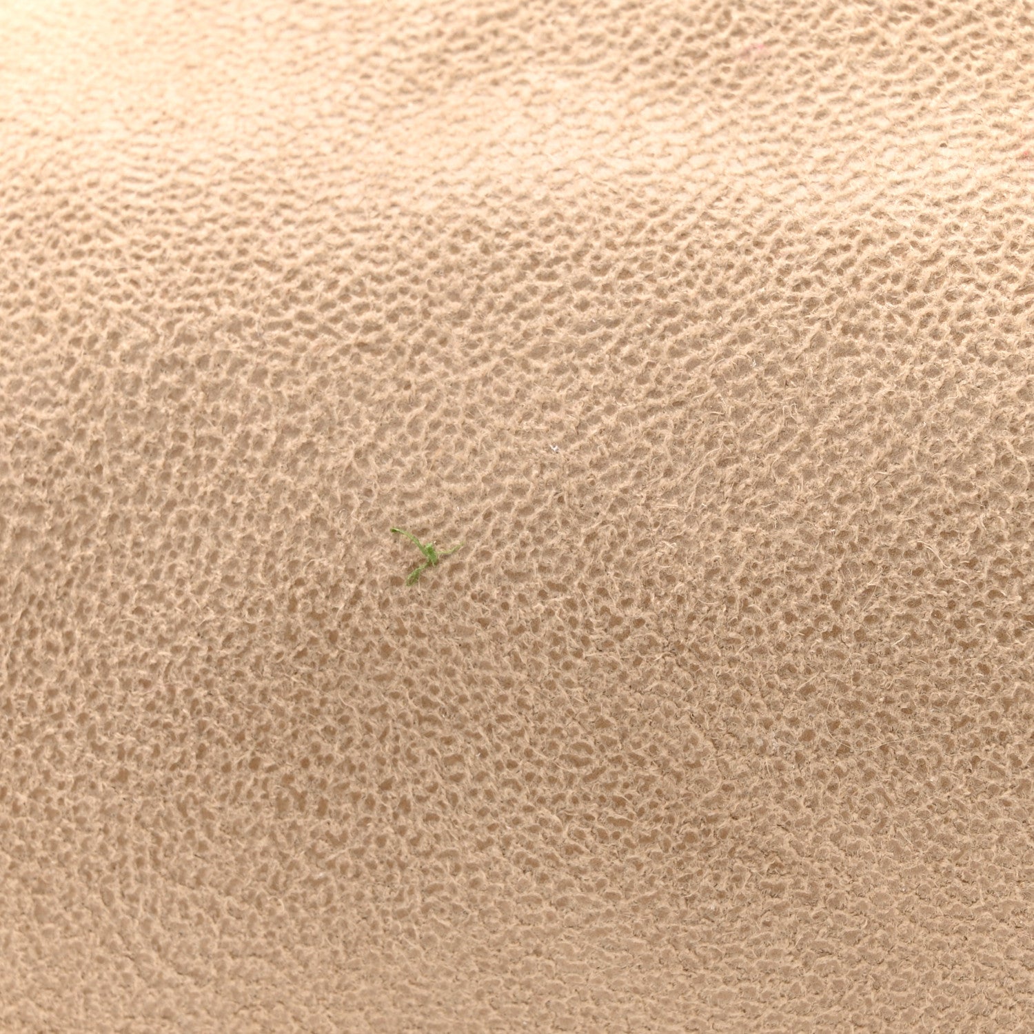 Stella McCartney Shaggy Deer Mini Falabella Fold Over Tote Beige 12 of 13
