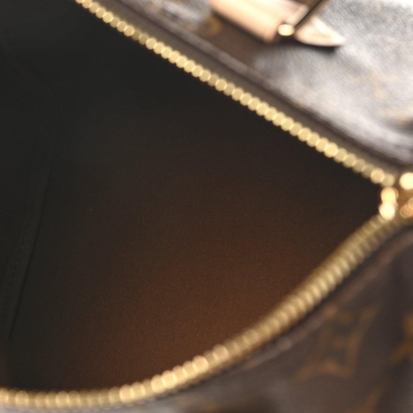 Monogram My World Tour Speedy Bandouliere 25