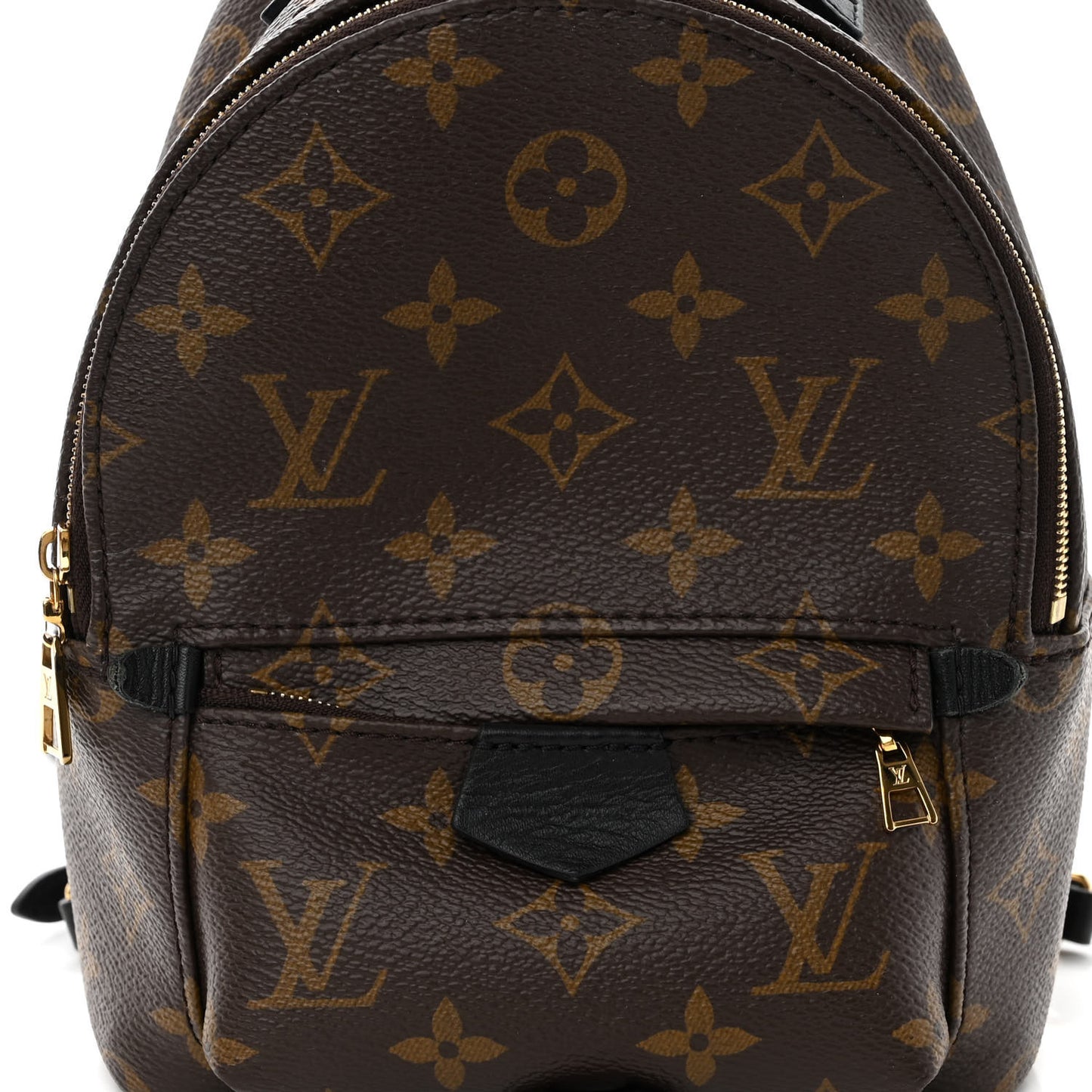 Monogram Palm Springs Backpack Mini
