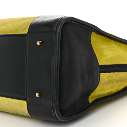 Loewe Suede Calfskin Amazona Yellow Black 9 of 11