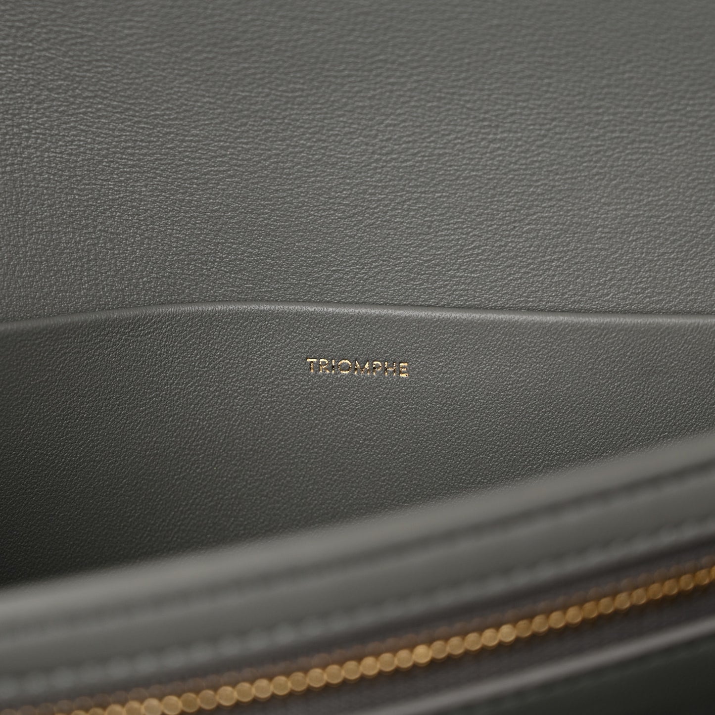 Shiny Calfskin Medium Triomphe Zinc