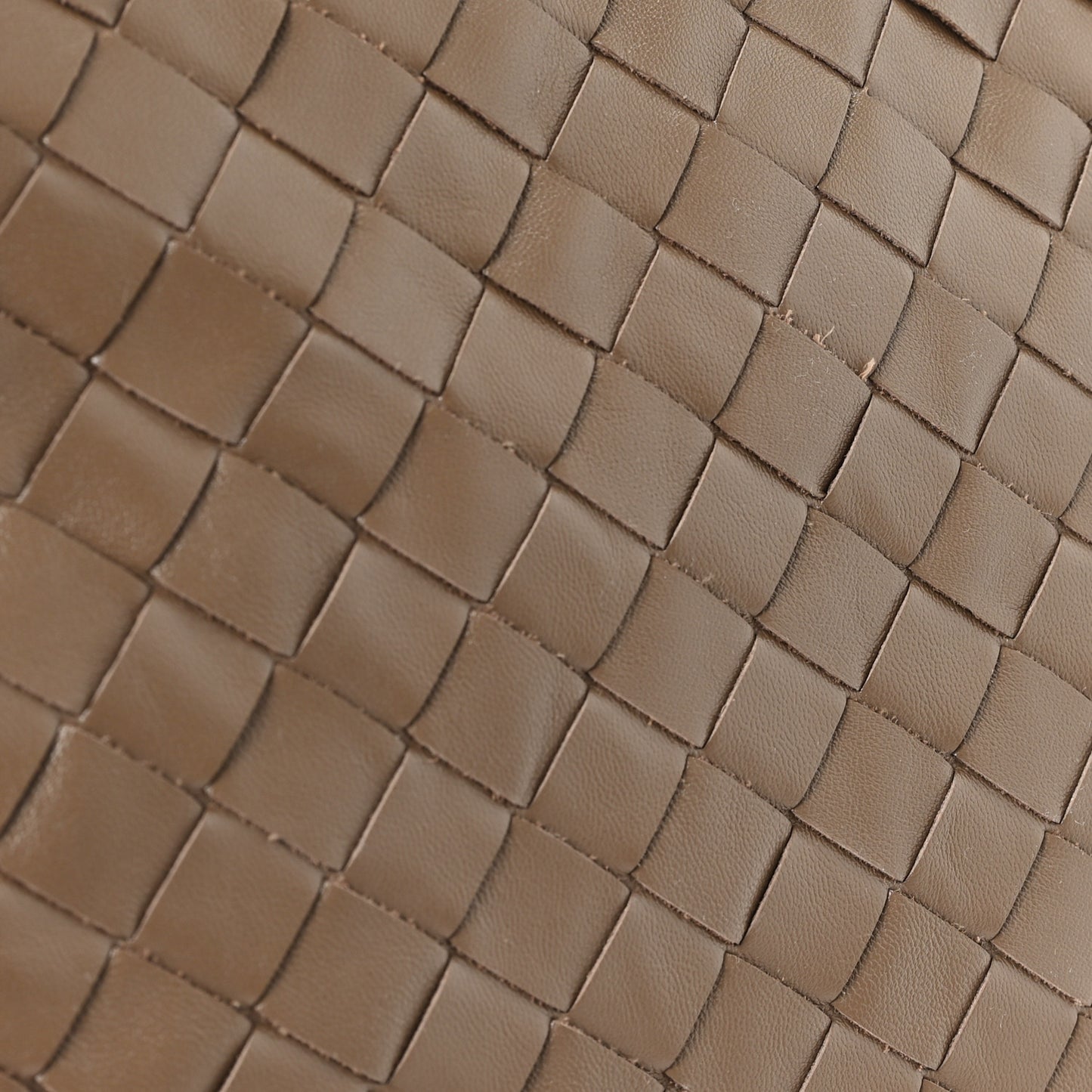 Calfskin Intrecciato Small Hop Pinecone