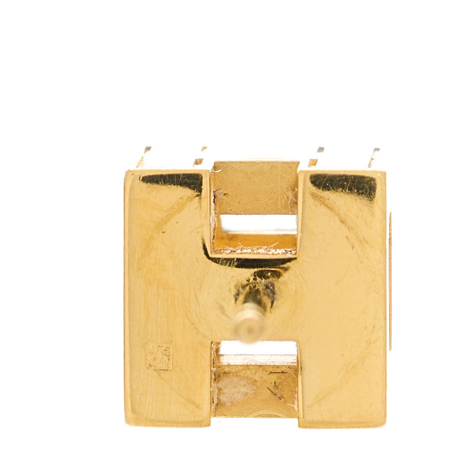 Gold Lacquered Cage d'H Earrings Black
