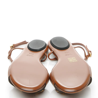 Gucci Calfskin Monogram Horsebit T-Strap Flat Sandals 36.5 Cognac 5 of 9