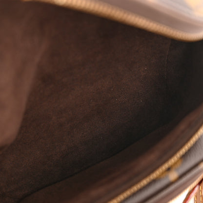 Louis Vuitton Monogram Mini Bumbag 5 of 12