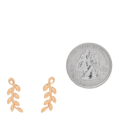 Tiffany 18K Rose Gold Paloma Picasso Olive Leaf Climber Earrings 2 of 4