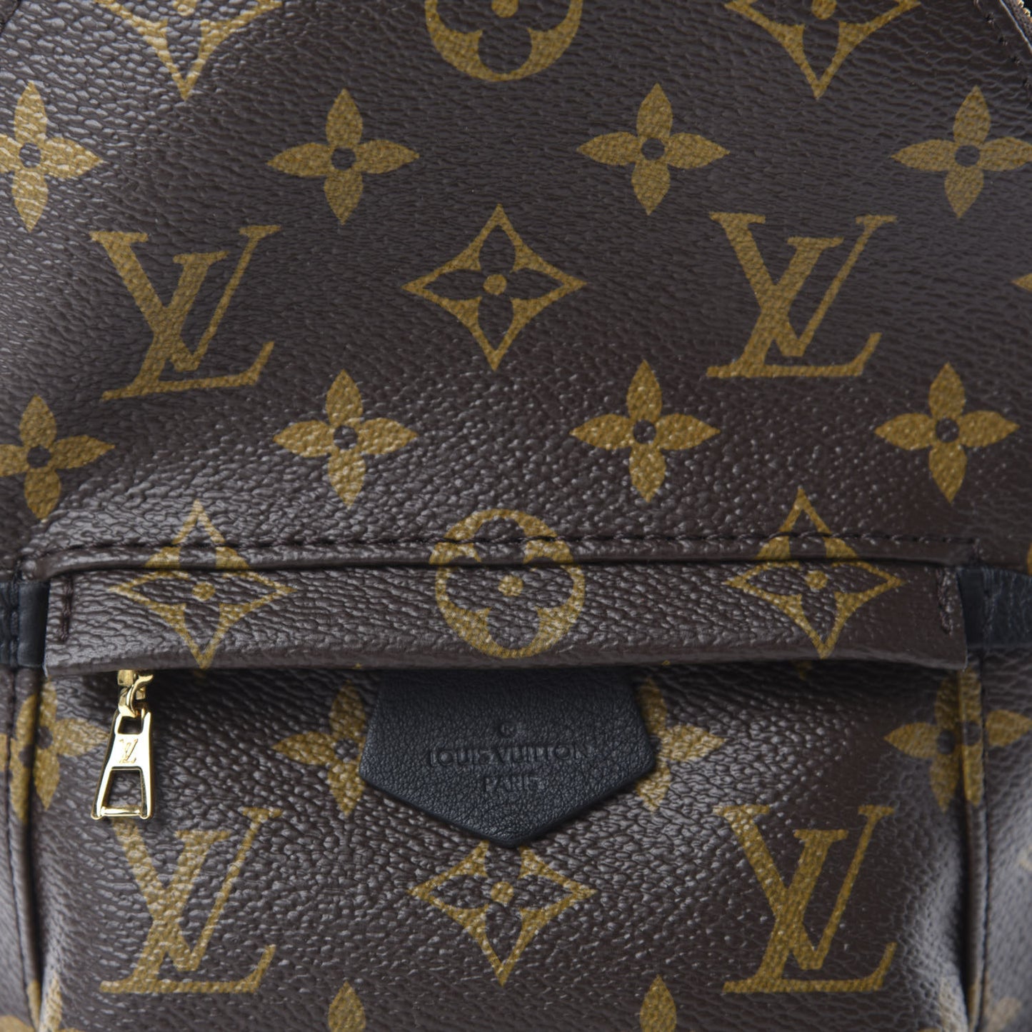 Monogram Palm Springs Backpack Mini
