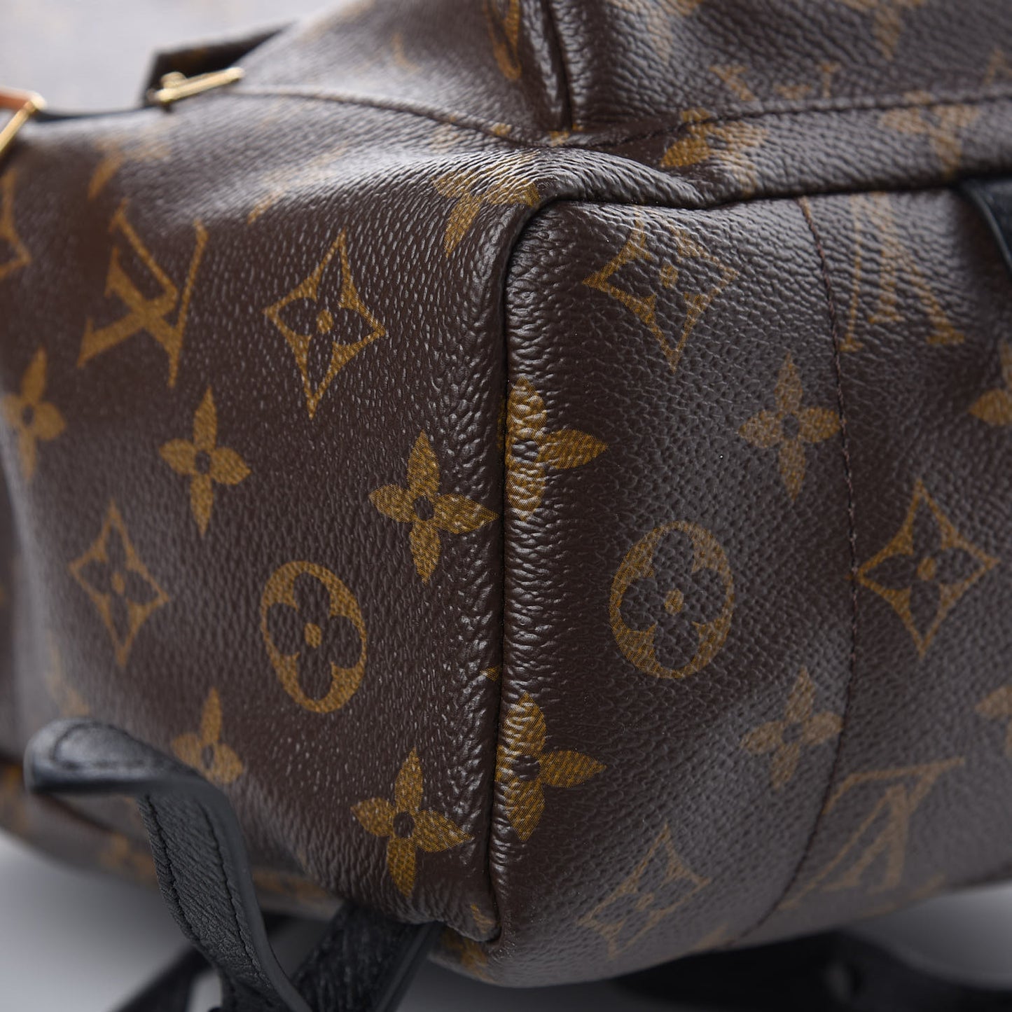 Monogram Palm Springs Backpack PM