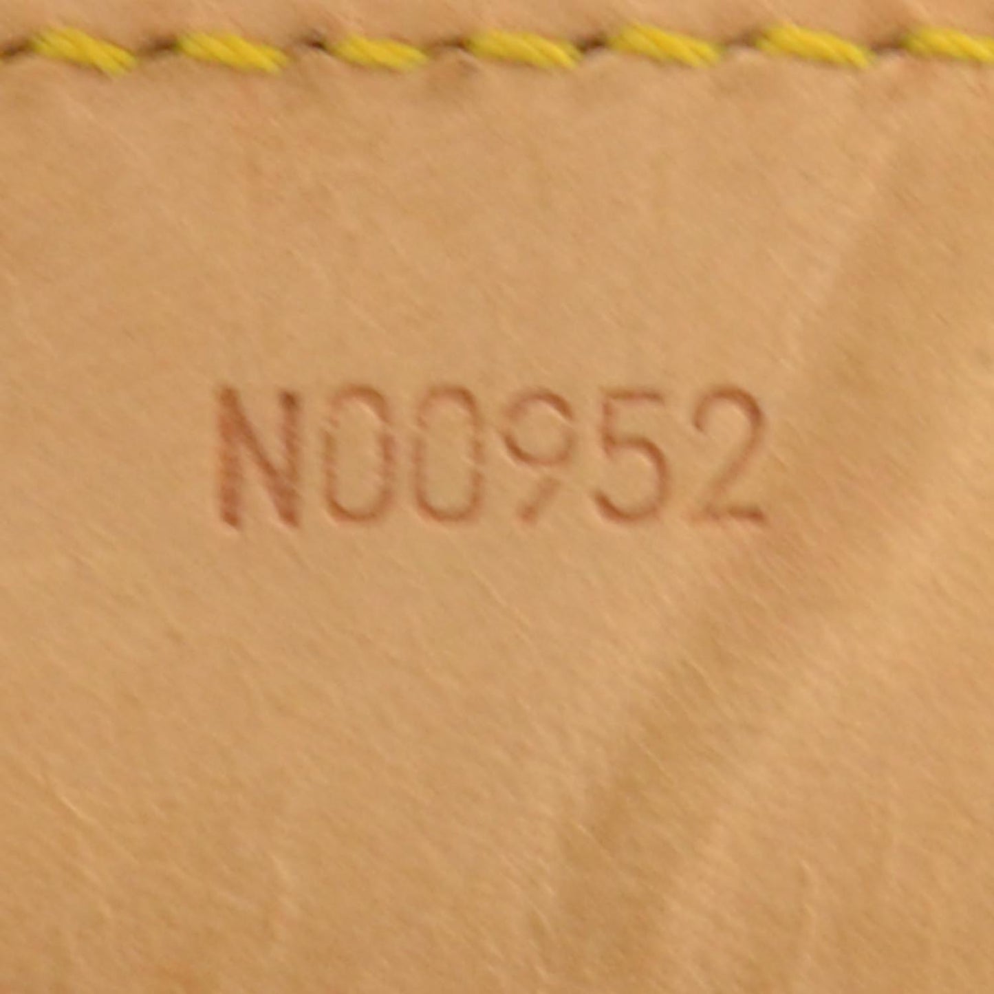 Monogram Sac Flanerie 45