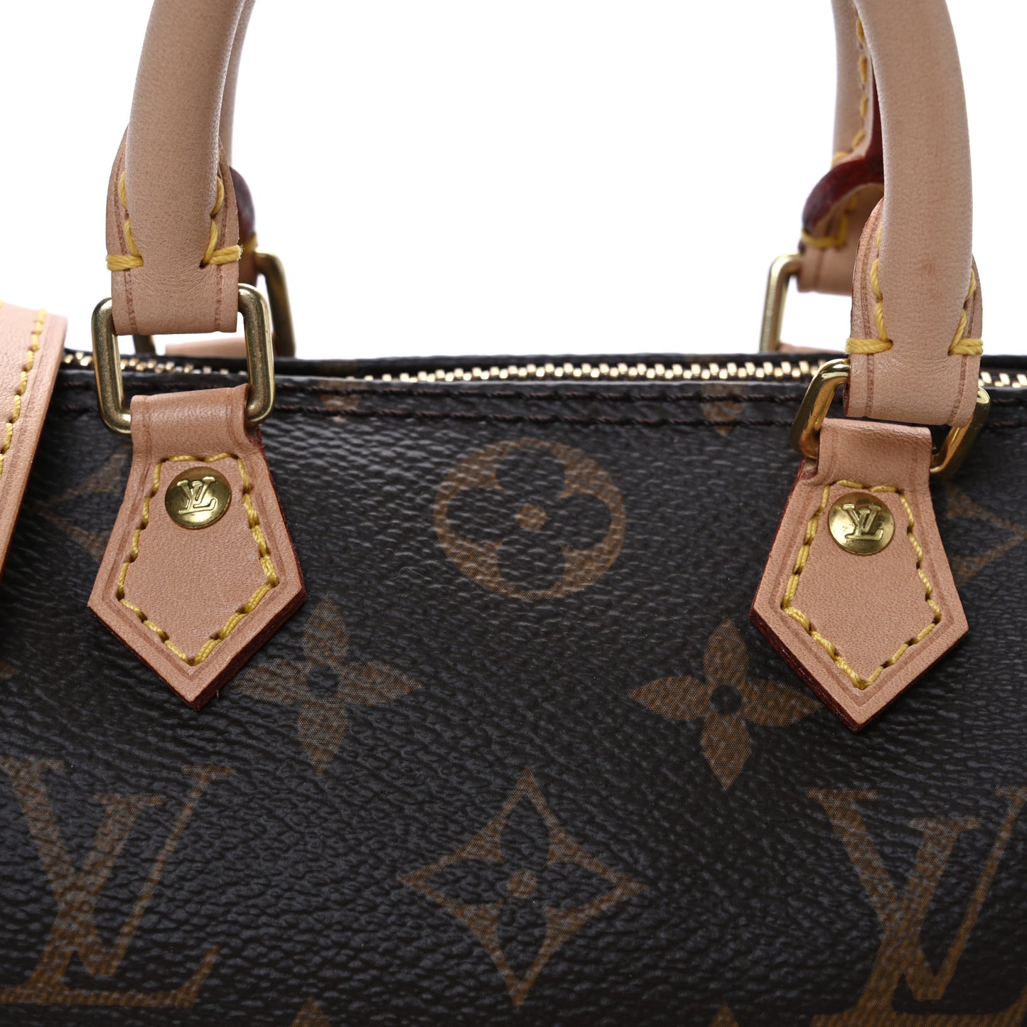 Monogram Nano Speedy