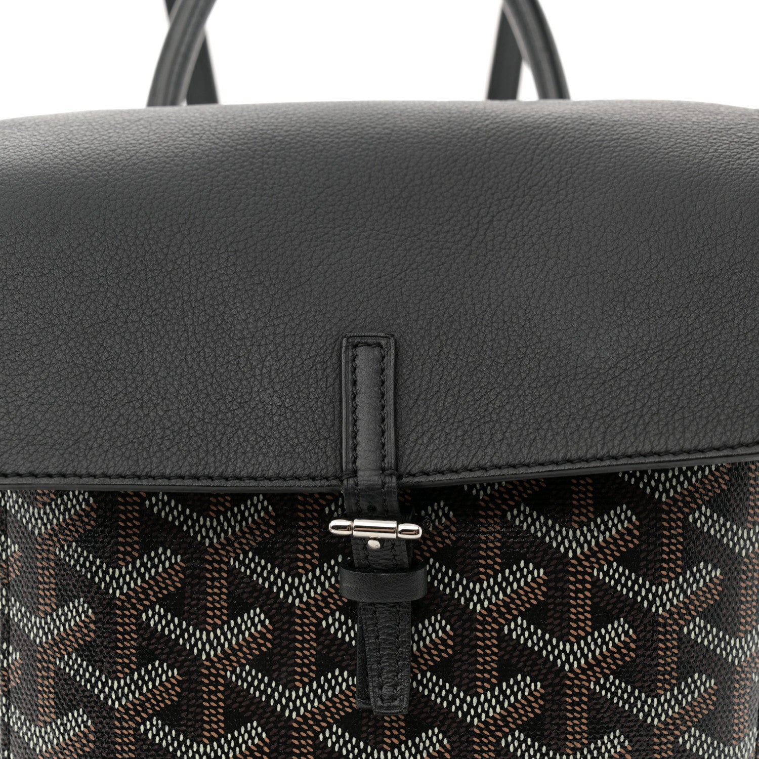 Goyard Goyardine Calfskin Mini Alpin Backpack Black 7 of 14