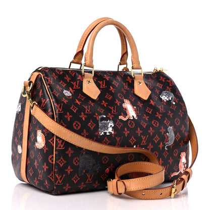 Louis Vuitton Catogram Speedy Bandouliere 30 Marron 3 of 16