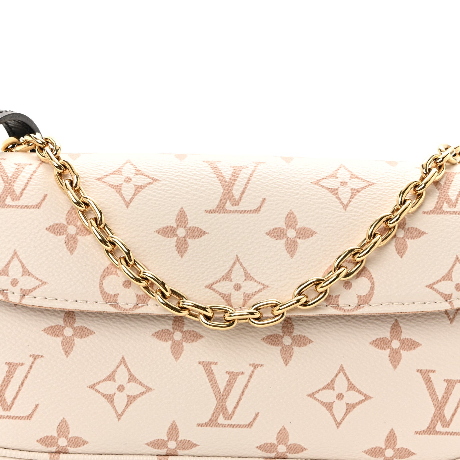 Louis Vuitton Monogram Dune Ivy Wallet On Chain 7 of 10